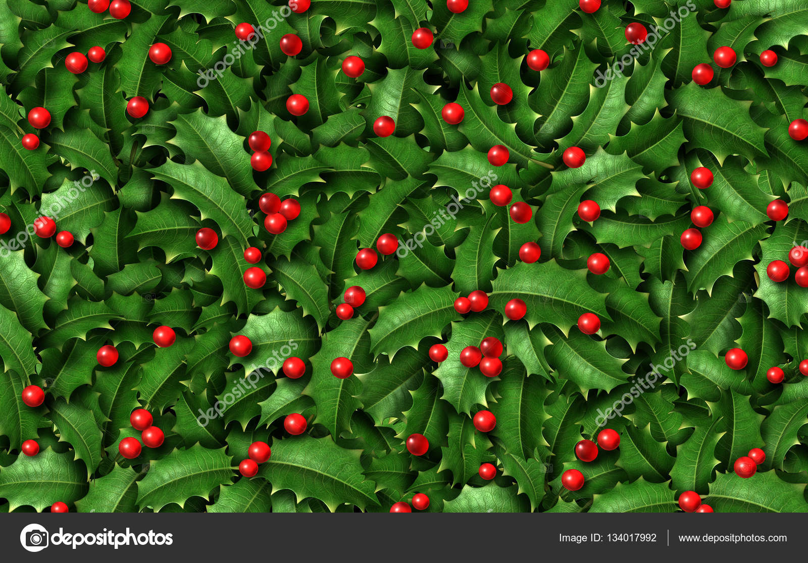 Detail Gambar Holly Untuk Background Nomer 5