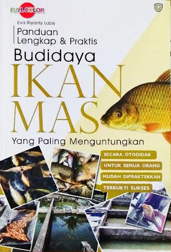 Detail Gambar Ikan Buku Gambar Nomer 26