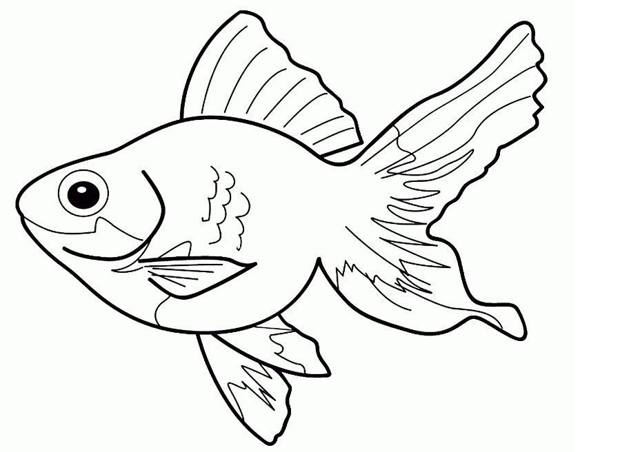 Detail Gambar Ikan Untuk D Warnai Nomer 12