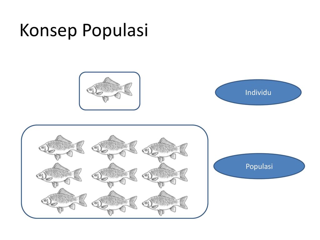 Detail Gambar Individu Ikan Dan Populasi Nomer 2