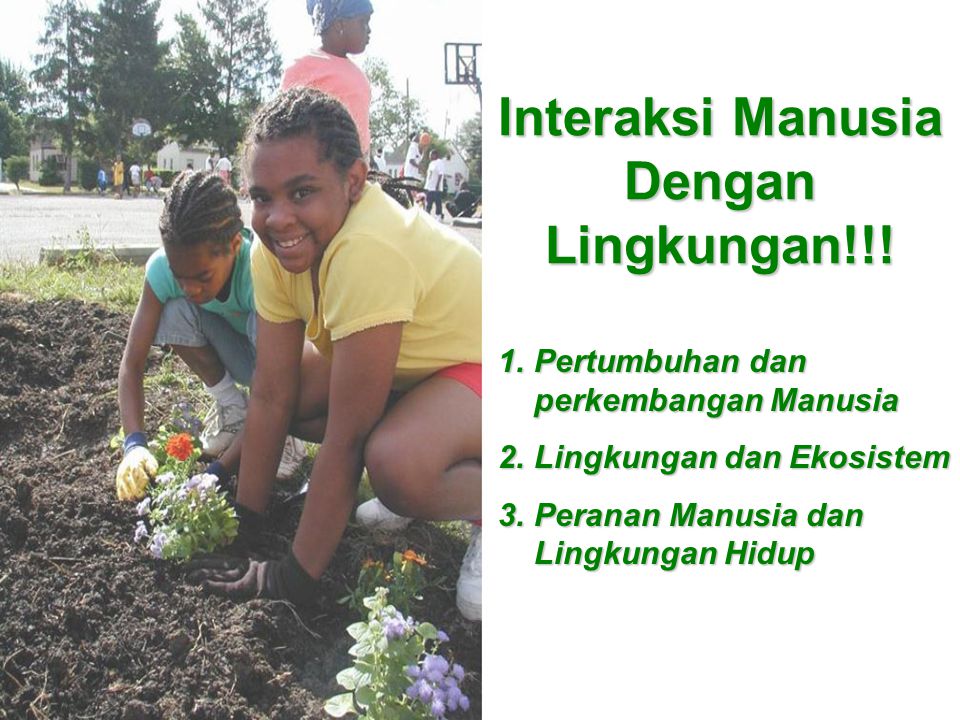 Detail Gambar Interaksi Manusia Dengan Lingkungan Alam Nomer 27