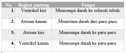 Detail Gambar Jantung Beserta Fungsinya Nomer 44