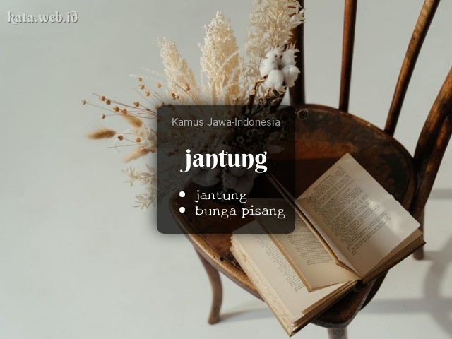 Detail Gambar Jantung Gambar Jantung Bahasa Indonesia Nomer 37