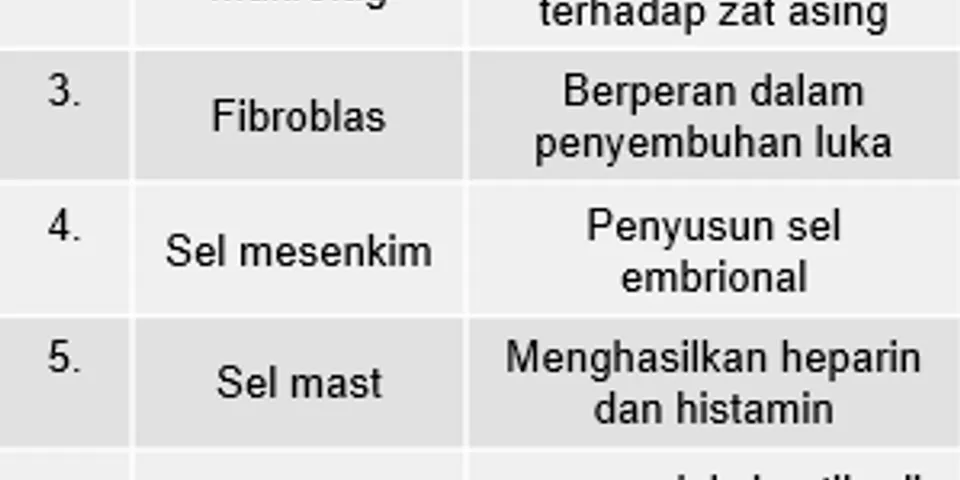 Detail Gambar Jaringan Ikat Dan Fungsinya Nomer 38