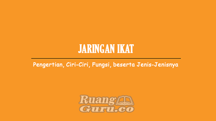 Detail Gambar Jaringan Ikat Dan Fungsinya Nomer 40