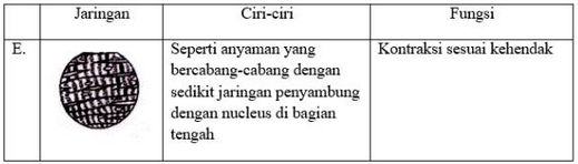 Detail Gambar Jaringan Manusia Nomer 49