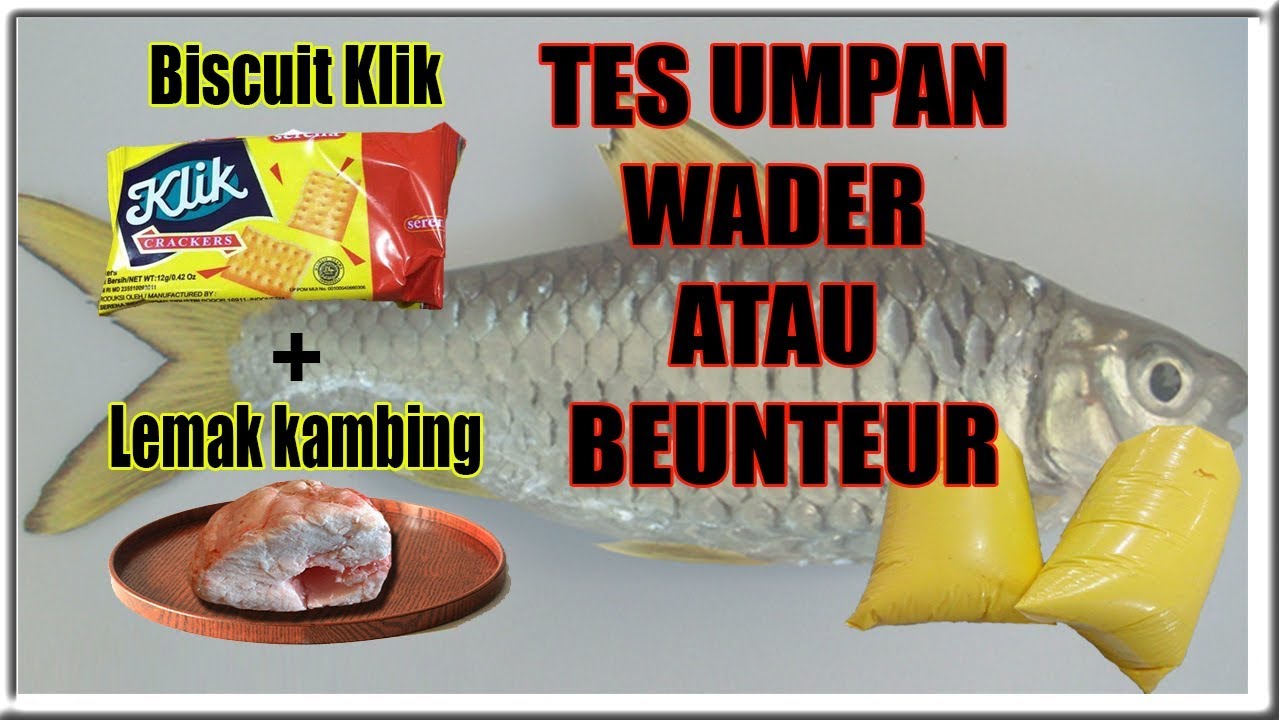 Detail Gambar Kambing Gambar Umpan Buatan Untuk Mancing Nomer 17