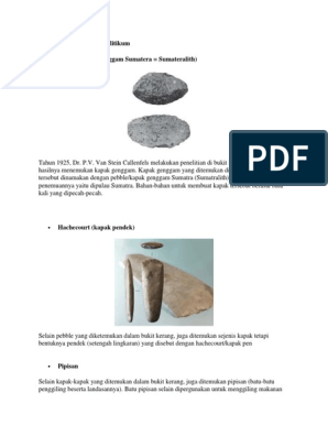 Detail Gambar Kapak Lonjong Kapak Genggam Kapak Rimbas Kapak Sumatera Nomer 6