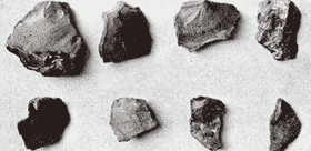 Detail Gambar Kapak Sumatra Gambar Tulang Sampung Nomer 11