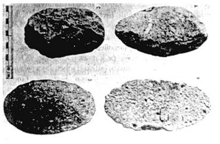Detail Gambar Kapak Sumatra Gambar Tulang Sampung Nomer 22
