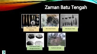 Detail Gambar Kapak Sumatra Gambar Tulang Sampung Nomer 34