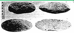 Detail Gambar Kapak Sumatra Gambar Tulang Sampung Nomer 37