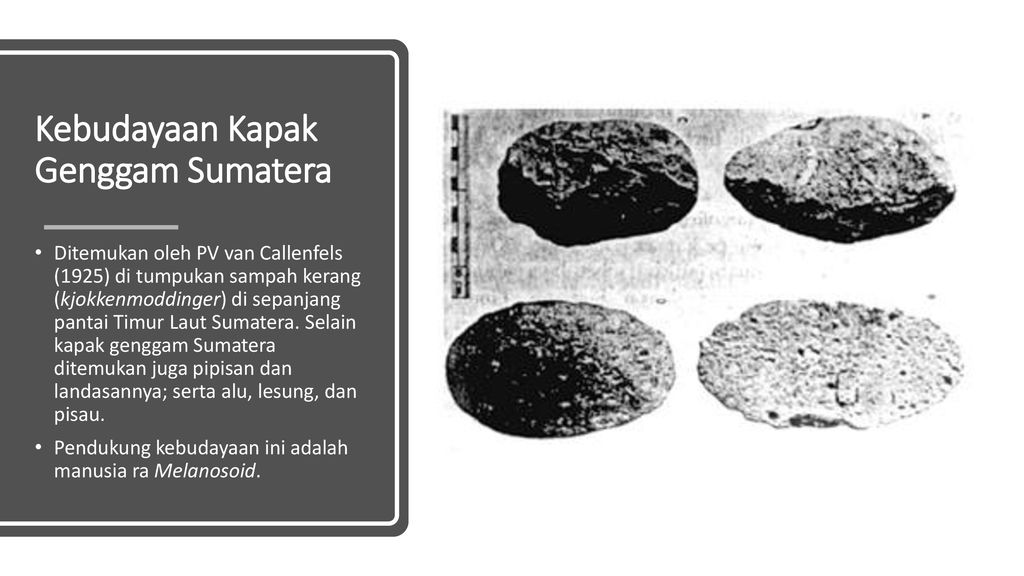 Detail Gambar Kapak Sumatra Gambar Tulang Sampung Nomer 44