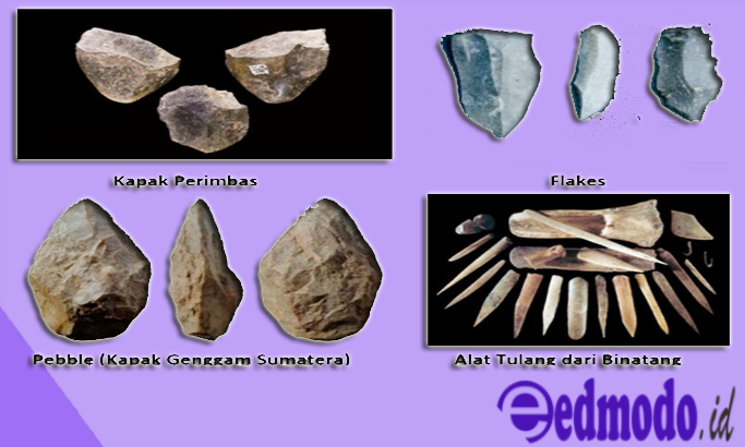 Detail Gambar Kapak Sumatra Gambar Tulang Sampung Nomer 4