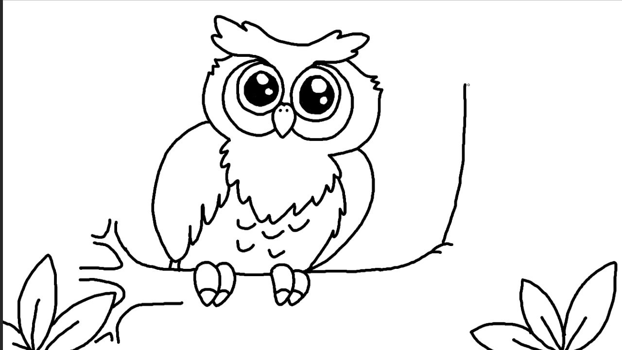 Detail Gambar Kartun Owl Untuk Diwarnai Nomer 12