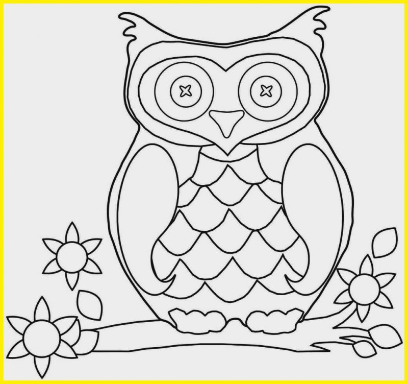 Detail Gambar Kartun Owl Untuk Diwarnai Nomer 4