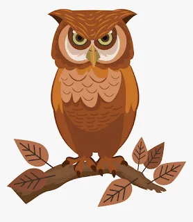 Detail Gambar Kartun Owl Untuk Diwarnai Nomer 35