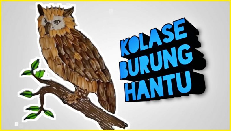 Detail Gambar Kartun Owl Untuk Diwarnai Nomer 39