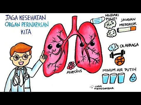 Detail Gambar Kartun Pernapasan Pada Manusia Nomer 24