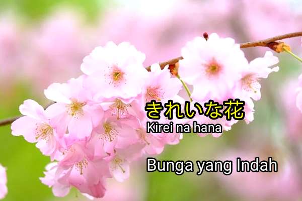 Detail Gambar Kata Benda Dalam Bahasa Jepang Nomer 41