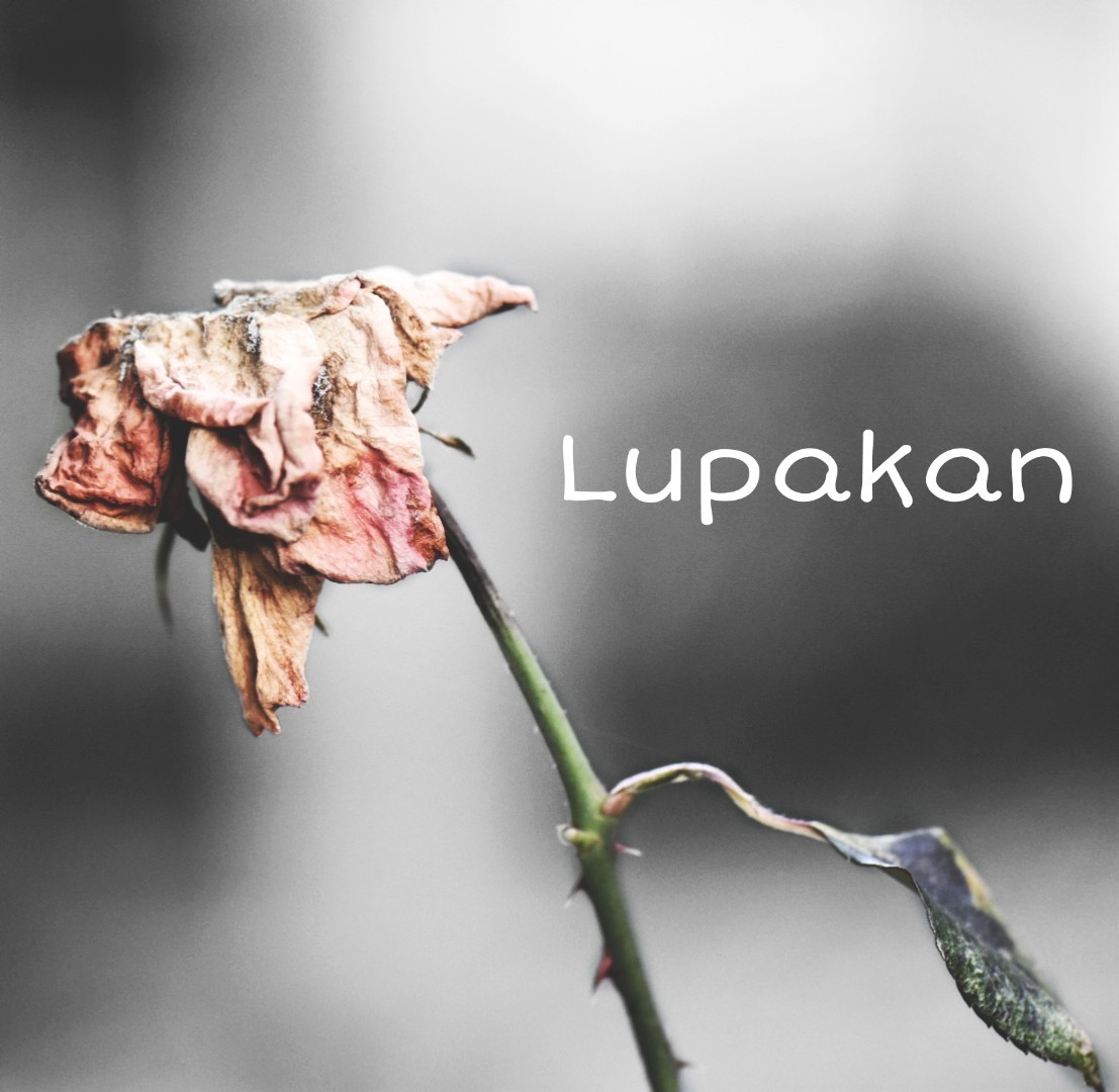 Detail Gambar Kata Untuk Lupakan Gambar Untuk Lupakan Nomer 29