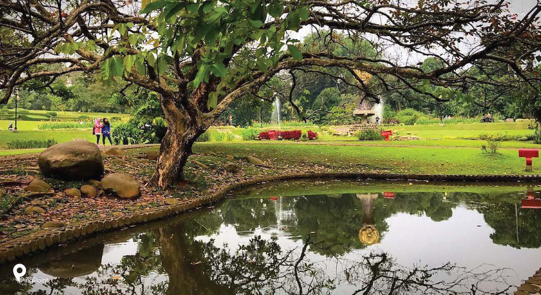 Detail Gambar Kebun Raya Dan Tempat Apa Nomer 10