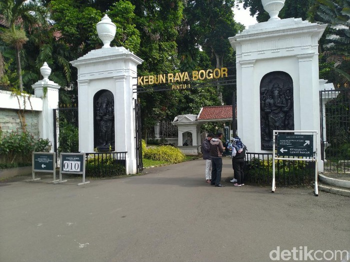 Detail Gambar Kebun Raya Dan Tempat Apa Nomer 11