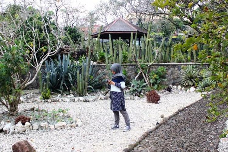 Detail Gambar Kebun Raya Dan Tempat Apa Nomer 7