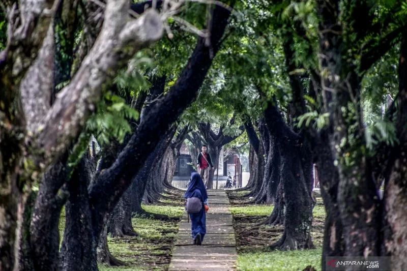 Detail Gambar Kebun Raya Dan Untuk Apa Nomer 21