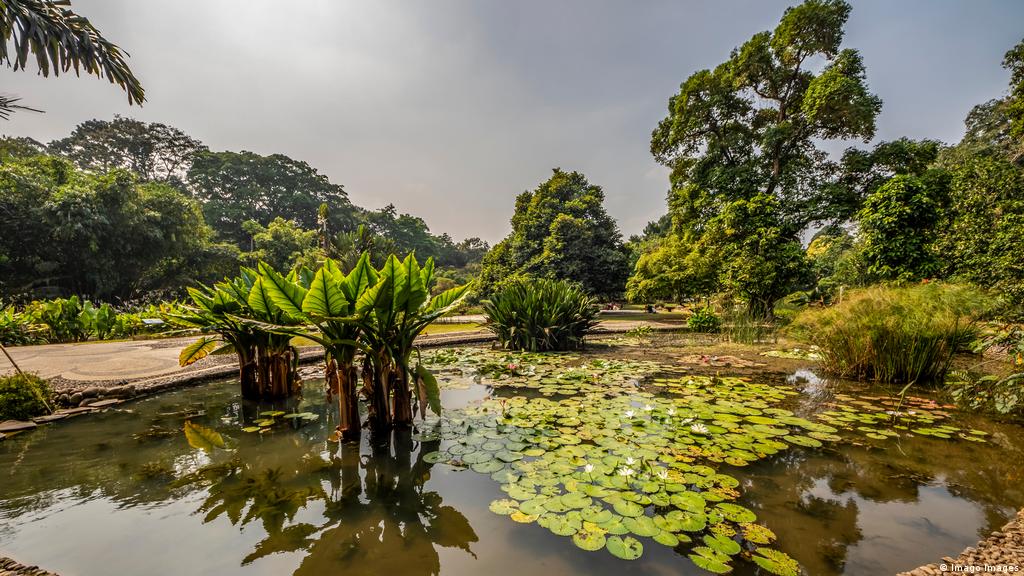 Detail Gambar Kebun Raya Dan Untuk Apa Nomer 23