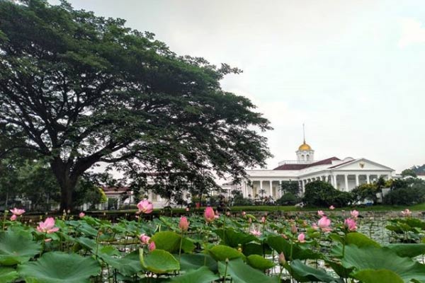 Detail Gambar Kebun Raya Dan Untuk Apa Nomer 25