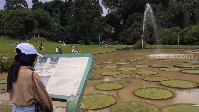 Detail Gambar Kebun Raya Dan Untuk Apa Nomer 36