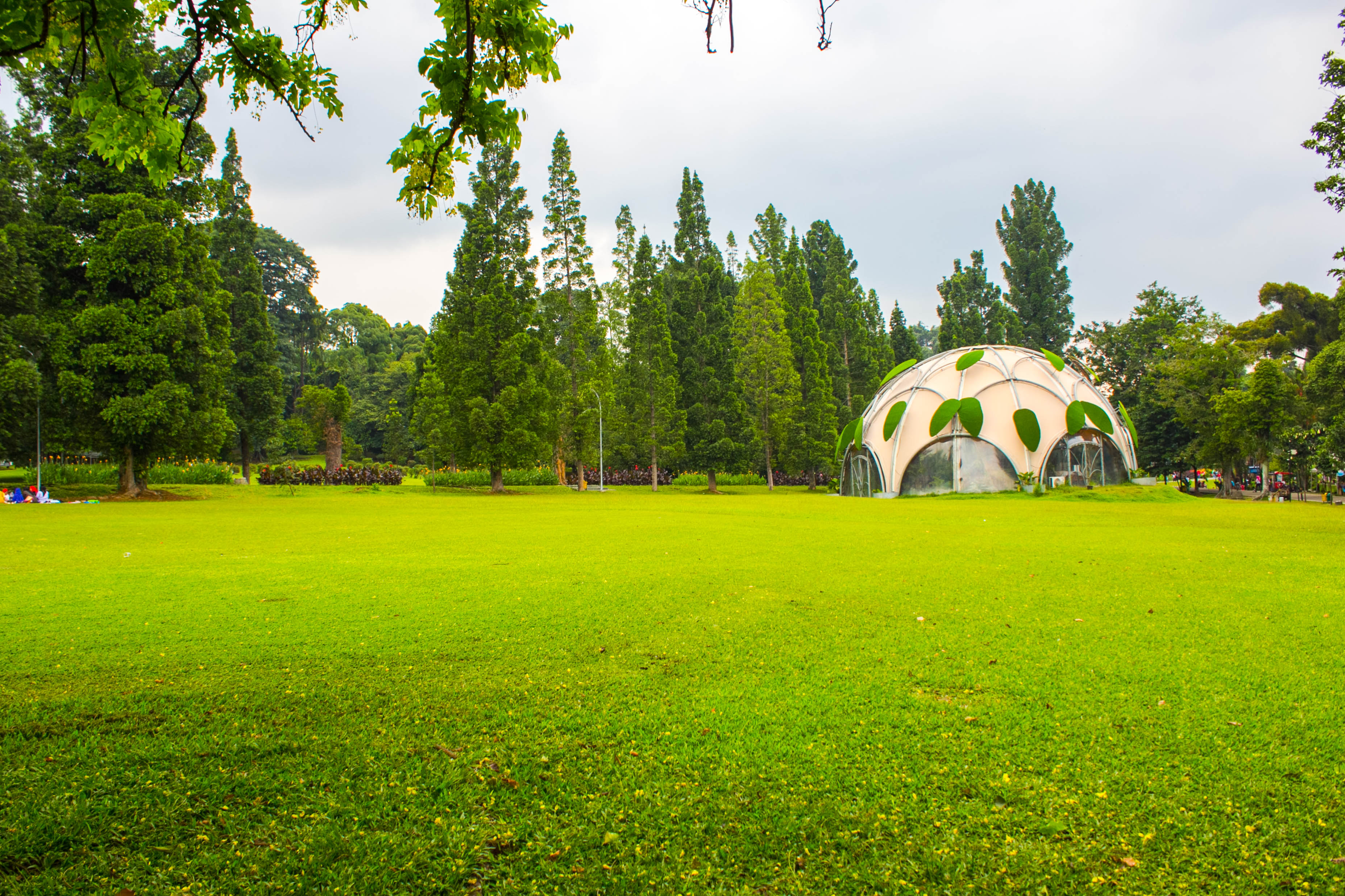 Detail Gambar Kebun Raya Dan Untuk Apa Nomer 37