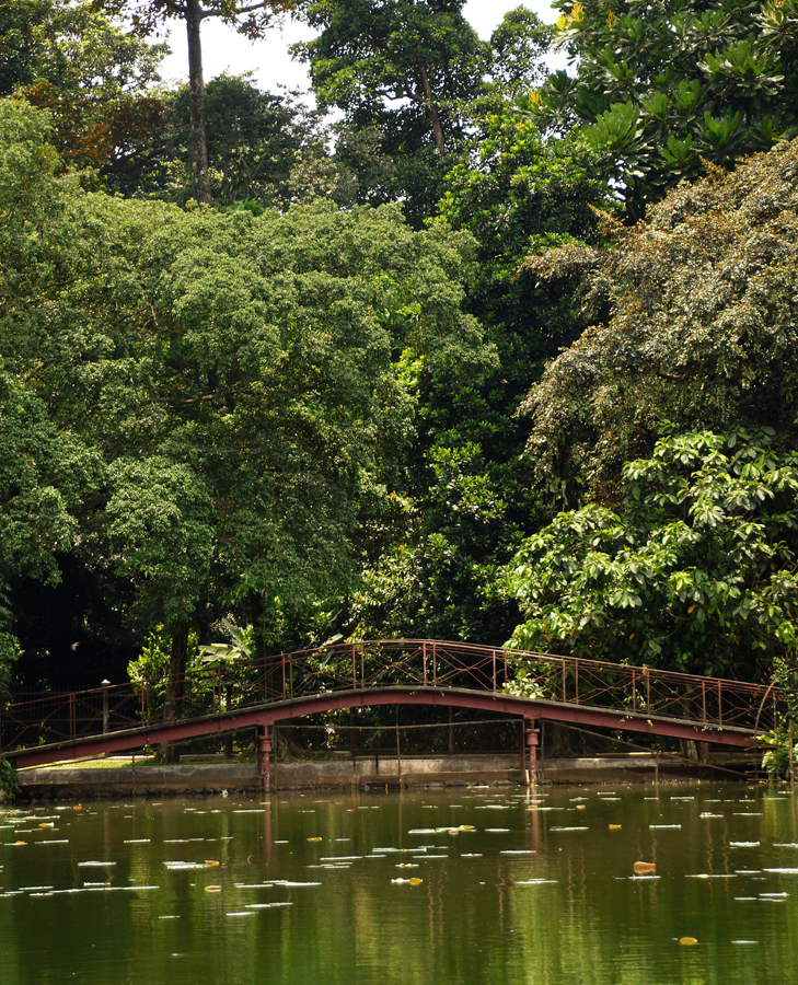 Detail Gambar Kebun Raya Dan Untuk Apa Nomer 43