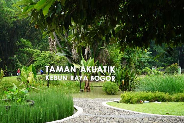 Detail Gambar Kebun Raya Dan Untuk Apa Nomer 47