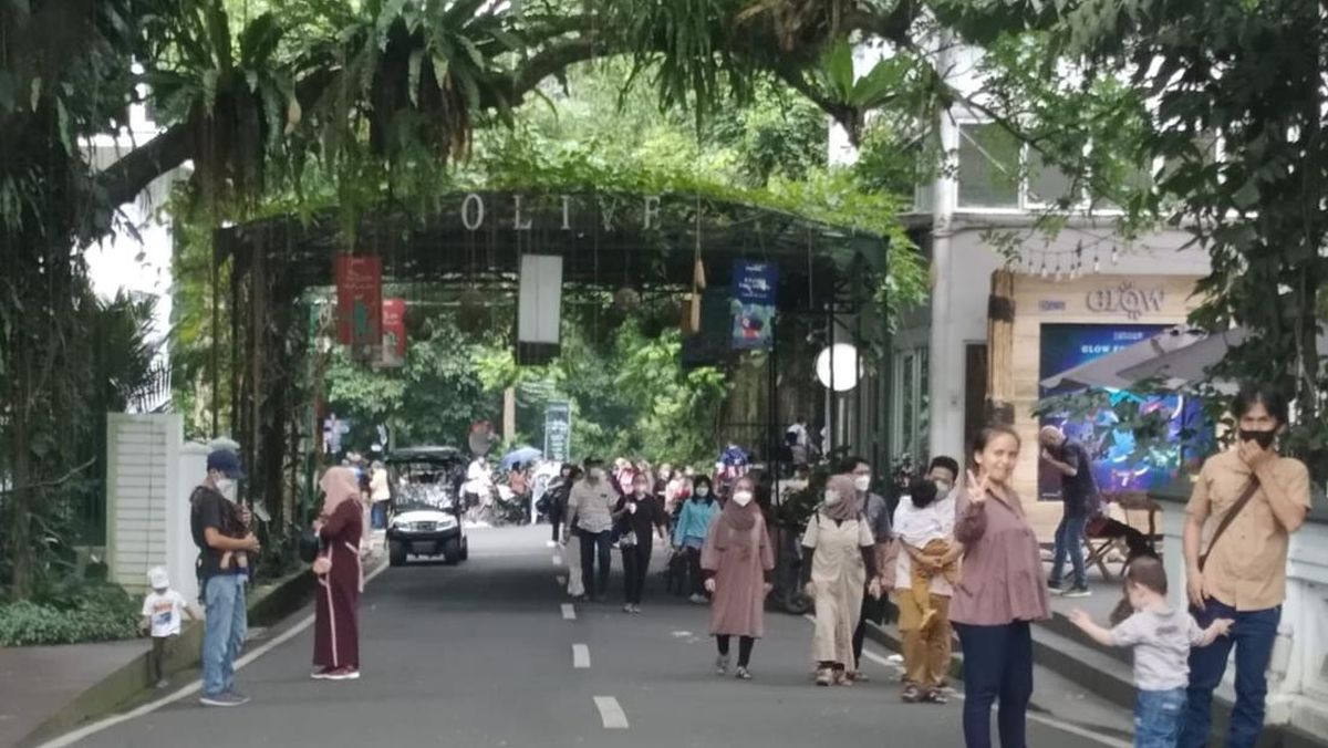 Detail Gambar Kebun Raya Dan Untuk Apa Nomer 49