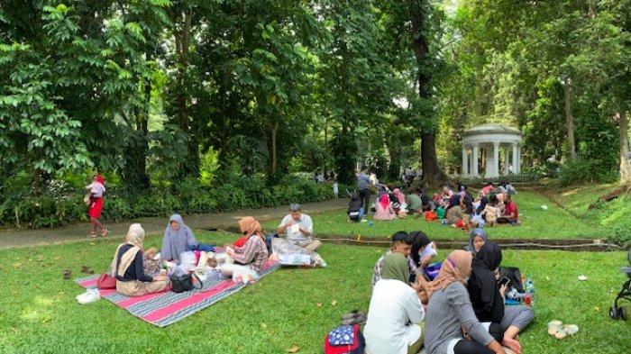 Detail Gambar Kebun Raya Dan Untuk Apa Nomer 50