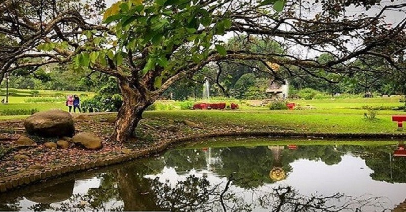 Detail Gambar Kebun Raya Dan Untuk Apa Nomer 9