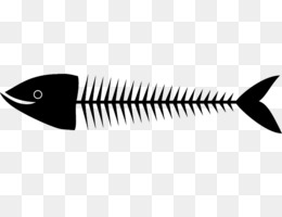 Detail Gambar Kepala Ikan Untuk Fishbone Nomer 2