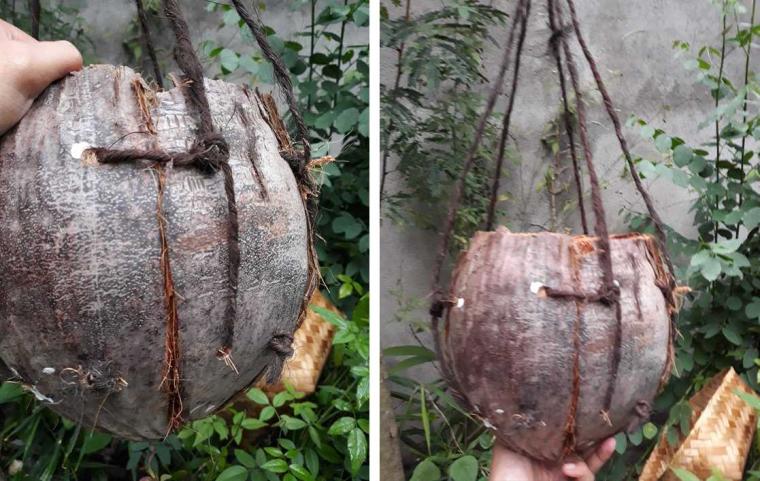 Detail Gambar Kerajinan Vas Bunga Dari Batok Kelapa Nomer 41