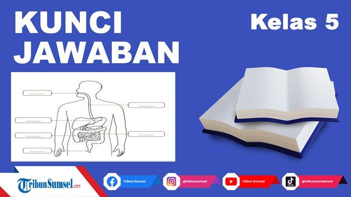 Detail Gambar Kerongkongan Manusia Nomer 38