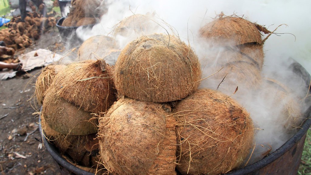 Detail Gambar Keterampilan Dari Batok Kelapa Nomer 38