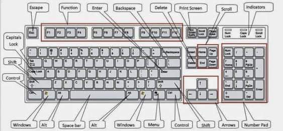 Detail Gambar Keyboard Beserta Fungsinya Nomer 9