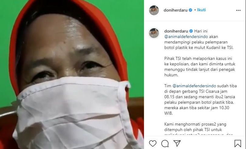 Detail Gambar Kudanil Dan Ciri Cirinya Nomer 21