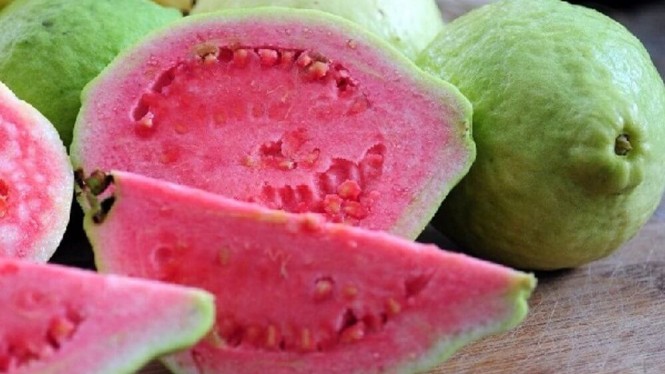 Detail Gambar Kumpulan Buah Nomer 37