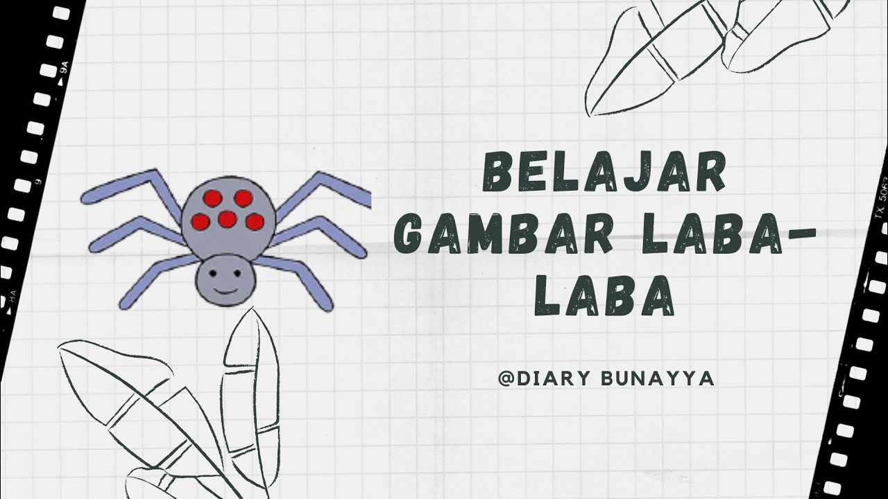 Detail Gambar Laba Laba Untuk Tk Nomer 10