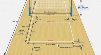 Detail Gambar Lapangan Bola Voli 3d Nomer 38