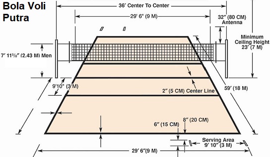 Detail Gambar Lapangan Bola Voli 3d Nomer 41