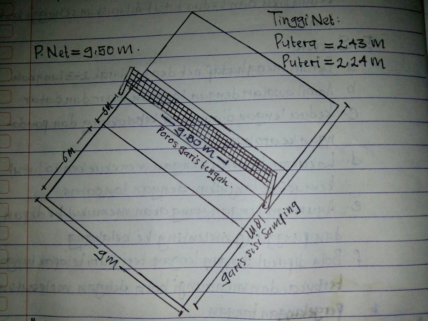 Detail Gambar Lapangan Bola Voli Beserta Ukuran Nya Nomer 27