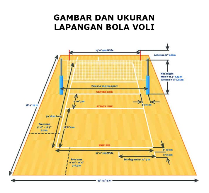 Detail Gambar Lapangan Bola Voli Beserta Ukuran Nya Nomer 35